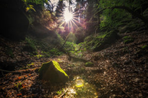 Germany, Saxony, Saxon Switzerland Germany, Saxony, Saxon Switzerland